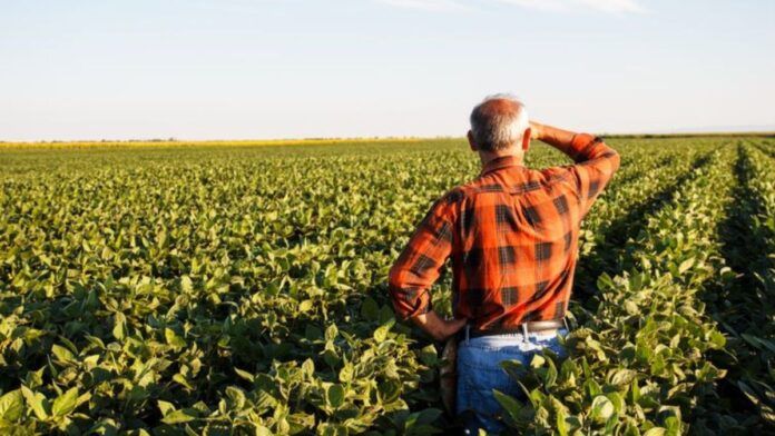 IPTU para imóveis rurais: quando vira ITR e diferenças