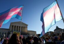 Dia da Visibilidade Trans: Conheça pessoas que fizeram história