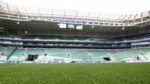 Novo gramado sintético do Allianz Parque chega ao Brasil e obra deve terminar no fim de fevereiro