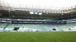 Novo gramado sintético do Allianz Parque chega ao Brasil e obra deve terminar no fim de fevereiro