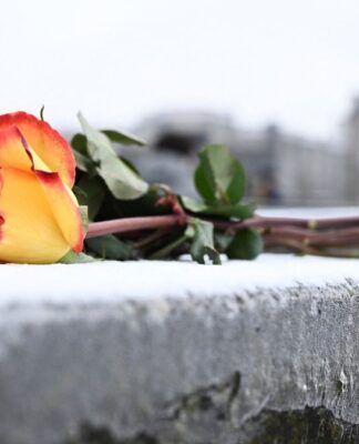 Um ramo de flores repousa sobre uma estela de concreto coberta de gelo no Memorial aos Judeus Assassinados da Europa, no Dia Internacional da Lembrança do Holocausto, em Berlim, Alemanha, 27 de janeiro de 2026.