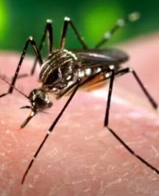 Vacinação contra dengue em profissionais de saúde começa 2ª no estado de SP