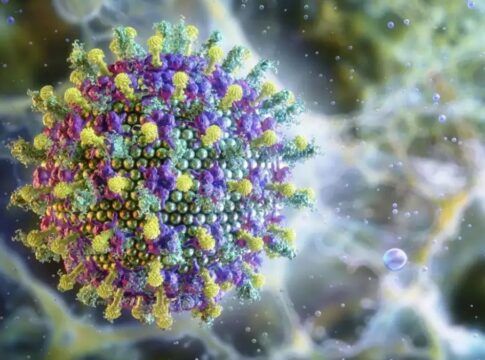 Ministério da Saúde diz que vírus Nipah não ameaça o Brasil