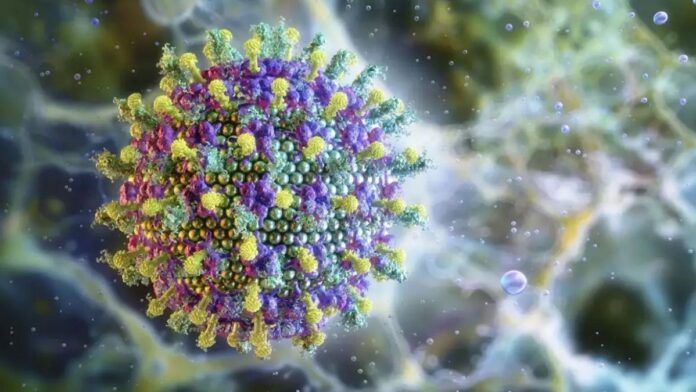 Ministério da Saúde diz que vírus Nipah não ameaça o Brasil