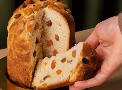 Anvisa proíbe panetones contaminados e produtos com cogumelos não autorizados