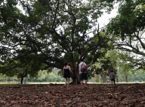 Pessoas no Parque Ibirapuera, em São Paulo (SP)