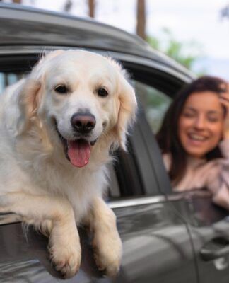 Close-up mulher com cachorro no carro freepik