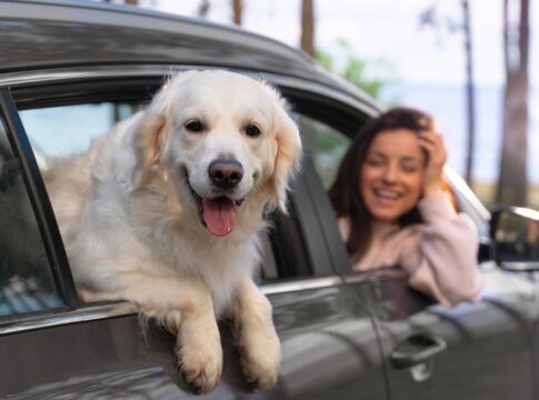 Close-up mulher com cachorro no carro freepik
