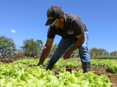 Pesquisa inédita traça o perfil de quem vive na área rural do Distrito Federal