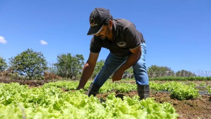 Pesquisa inédita traça o perfil de quem vive na área rural do Distrito Federal
