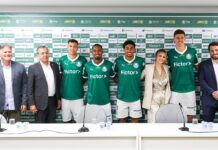 Palmeiras encerra contrato com Grupo Fictor