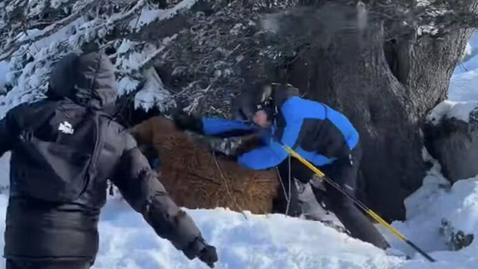 Foto: Reprodução/Instagram