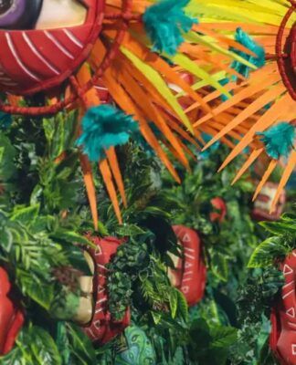 Chico Science, Carolina Maria de Jesus, Rita Lee e muita história; confira os enredos das escolas de samba que começam a desfilar neste domingo (15/02) no Rio de Janeiro