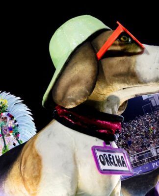 Luisa Mell participa de desfile da Mocidade Independente de Padre Miguel, no Carnaval do Rio de Janeiro, na Sapucaí e se emociona com homenagem ao Cão Orelha (Foto: Ricardo Moraes/Reuters)