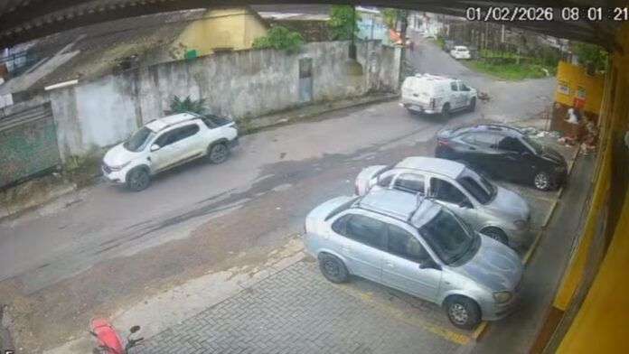 Policial é preso suspeito por atropelar e matar cães com viatura em Manaus