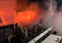 Cadela é resgatada de incêndio em MG
