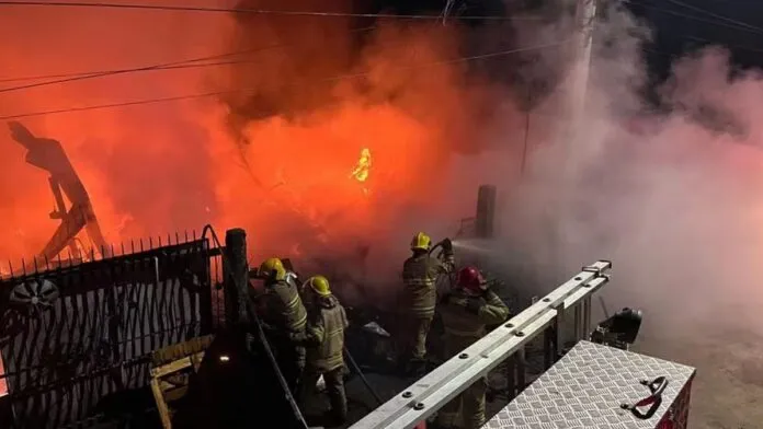 Cadela é resgatada de incêndio em MG