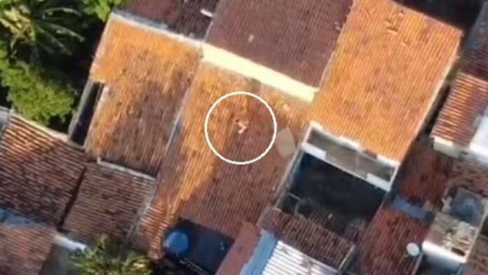 Traficante de drogas é preso ao tentar fugir da polícia pelo telhado de casas no Ceará