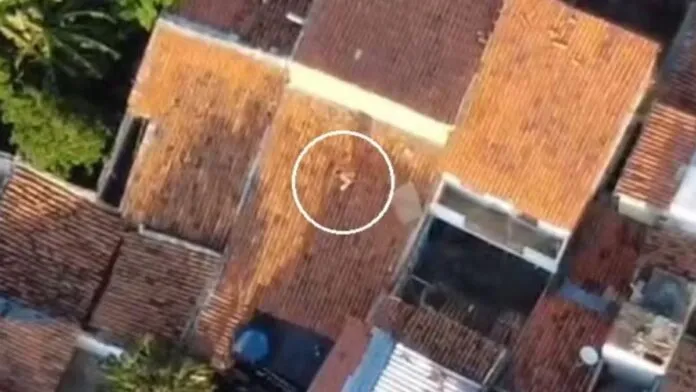 Traficante de drogas é preso ao tentar fugir da polícia pelo telhado de casas no Ceará