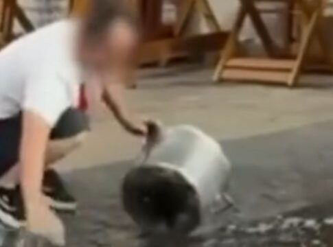 Homem é visto lavando panela em sarjeta no centro de São Paulo; veja vídeo