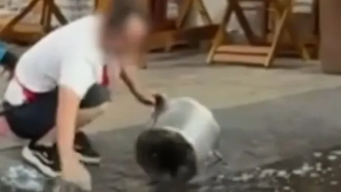 Homem é visto lavando panela em sarjeta no centro de São Paulo; veja vídeo