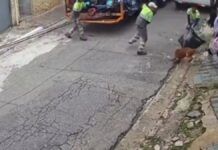 Cão pitbull escapa de casa e ataca coletores de lixo no na Zona Sul de São Paulo