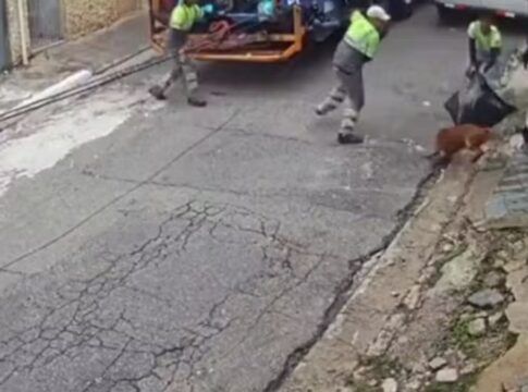 Cão pitbull escapa de casa e ataca coletores de lixo no na Zona Sul de São Paulo