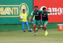 Palmeiras tem concorrência entre titulares e vive expectativa por dupla artilheira
