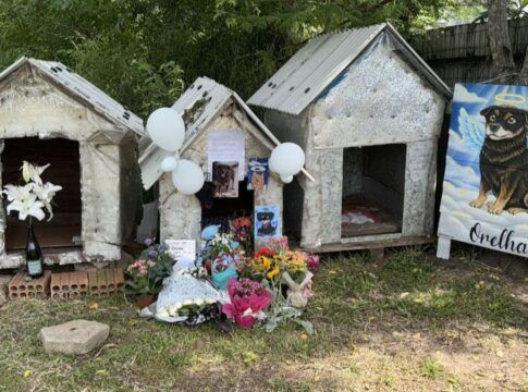 Casinha do cão comunitário Orelha vira memorial em Florianópolis