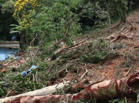 Chuvas: estado de SP tem 45 cidades em atenção para deslizamentos
