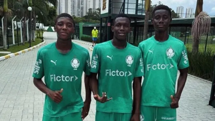 Palmeiras atravessa o oceano para ampliar captação para a base