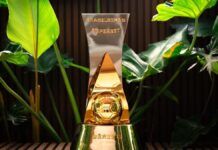 Série B terá playoffs para definir acesso ao Brasileirão a partir da atual temporada