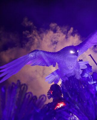 Foto: Ricardo Moraes/Reuters