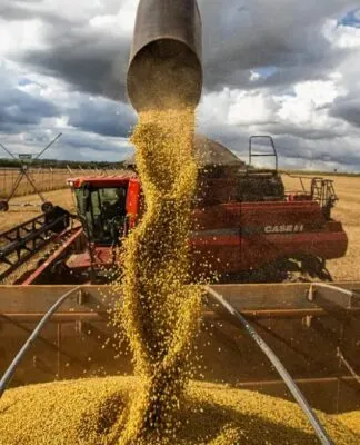 Agronegócio deve crescer 1% em 2026, prevê diretor da CNA