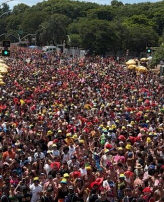 Bloco do Michel Teló