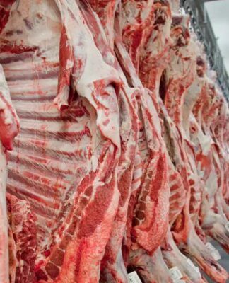 Brasil estuda criar cotas de exportação de carne bovina para a China após novas tarifas
