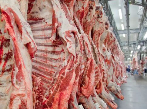 Brasil estuda criar cotas de exportação de carne bovina para a China após novas tarifas