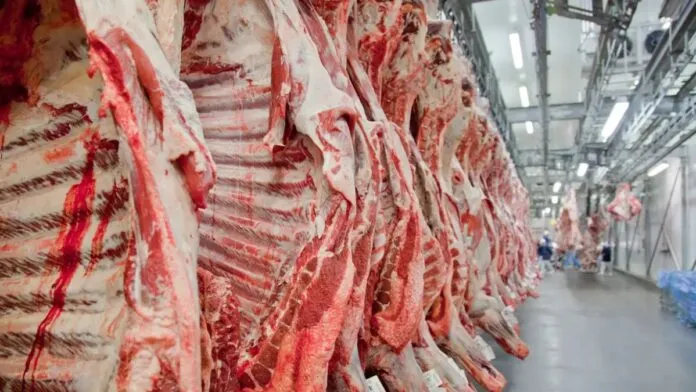 Brasil estuda criar cotas de exportação de carne bovina para a China após novas tarifas