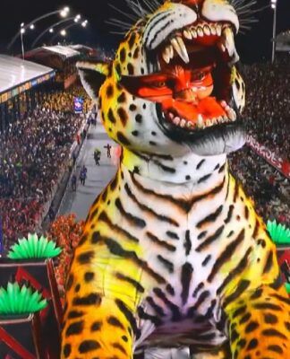 Foto: Reprodução/Globo