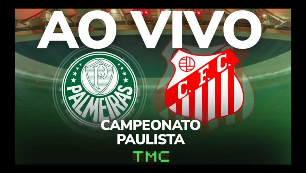 Montagem da TMC de Palmeiras x Capivariano