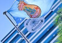 Bandeira azul clara da Polícia Federal hasteada e ondulando ao vento sob um céu azul. Ao fundo, de forma desfocada, vê-se a fachada de um prédio moderno com vidros espelhados e outro logotipo da instituição. À direita, parte das folhas de uma palmeira emoldura a cena.